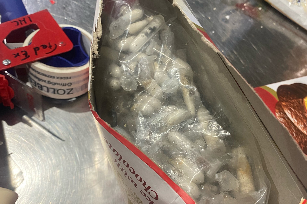 Köln NW – Zoll findet 1.500 lebende Vogelspinnen in Paket