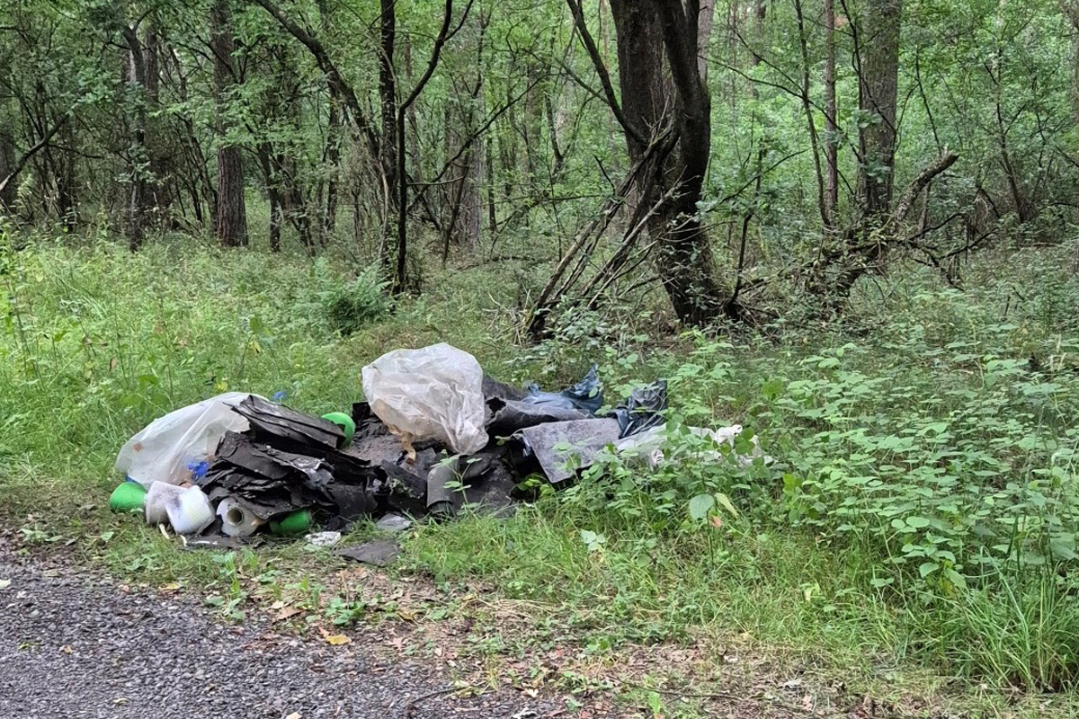 Emsbüren NI – Illegale Entsorgung von Sondermüll in Wald