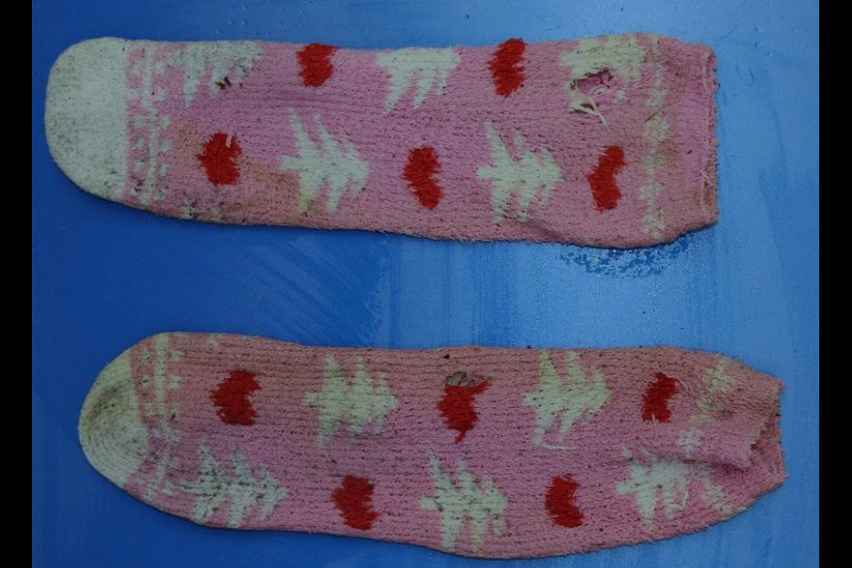 Feldberger Seenlandschaft MV – Polizei bittet um Hinweise zum Toten aus Gewässer