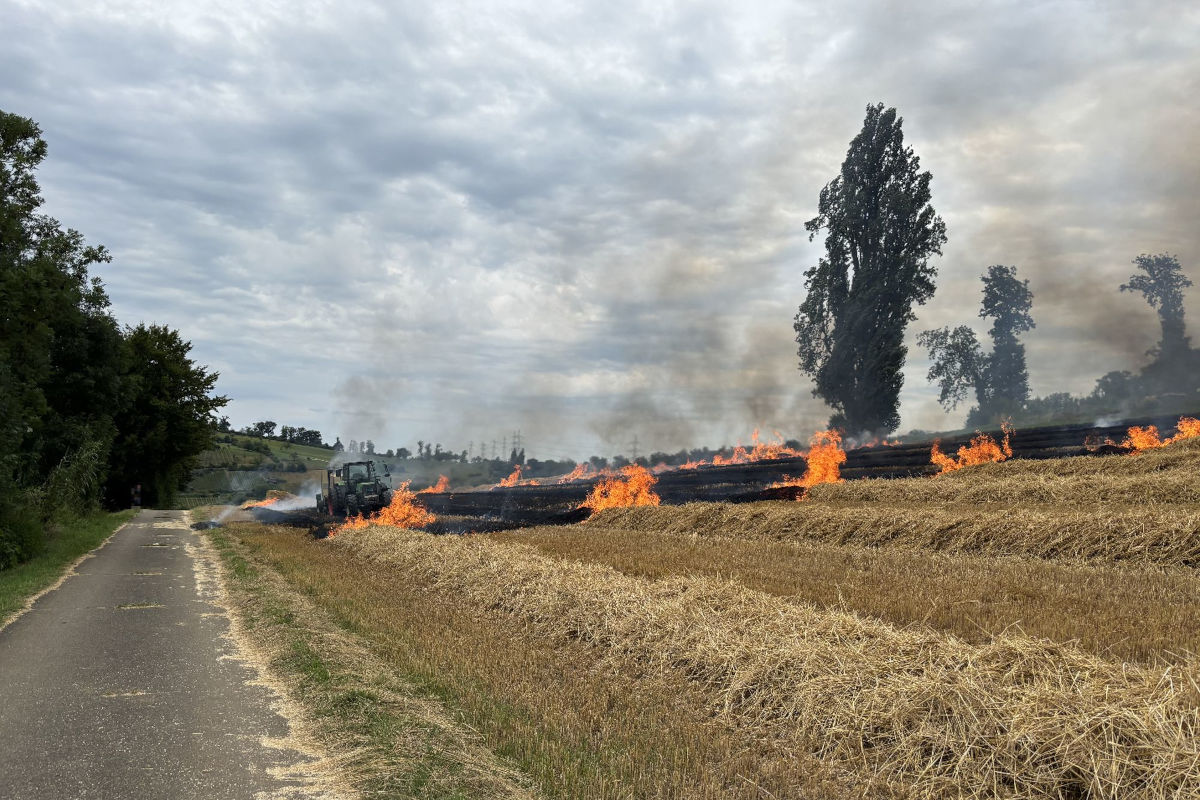 Muttenz BL – Brand einer Ballenpresse