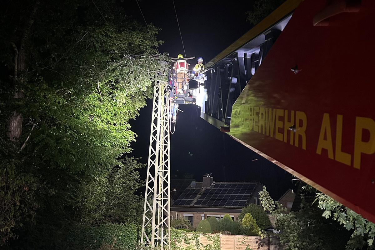 Alpen NW – Äste stürzen auf Stromleitung und verursachen Stromausfall