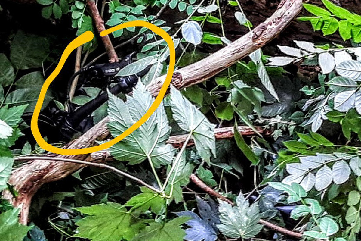 Travemünde SH – Diensthunde spüren gestohlene E-Bikes auf