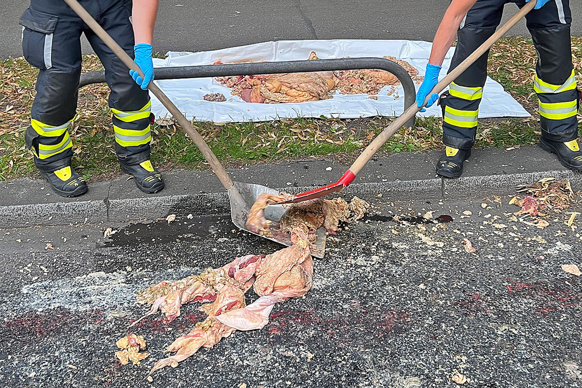 München BY – Schlachtabfälle sorgen für Feuerwehreinsatz und Verkehrsbehinderungen