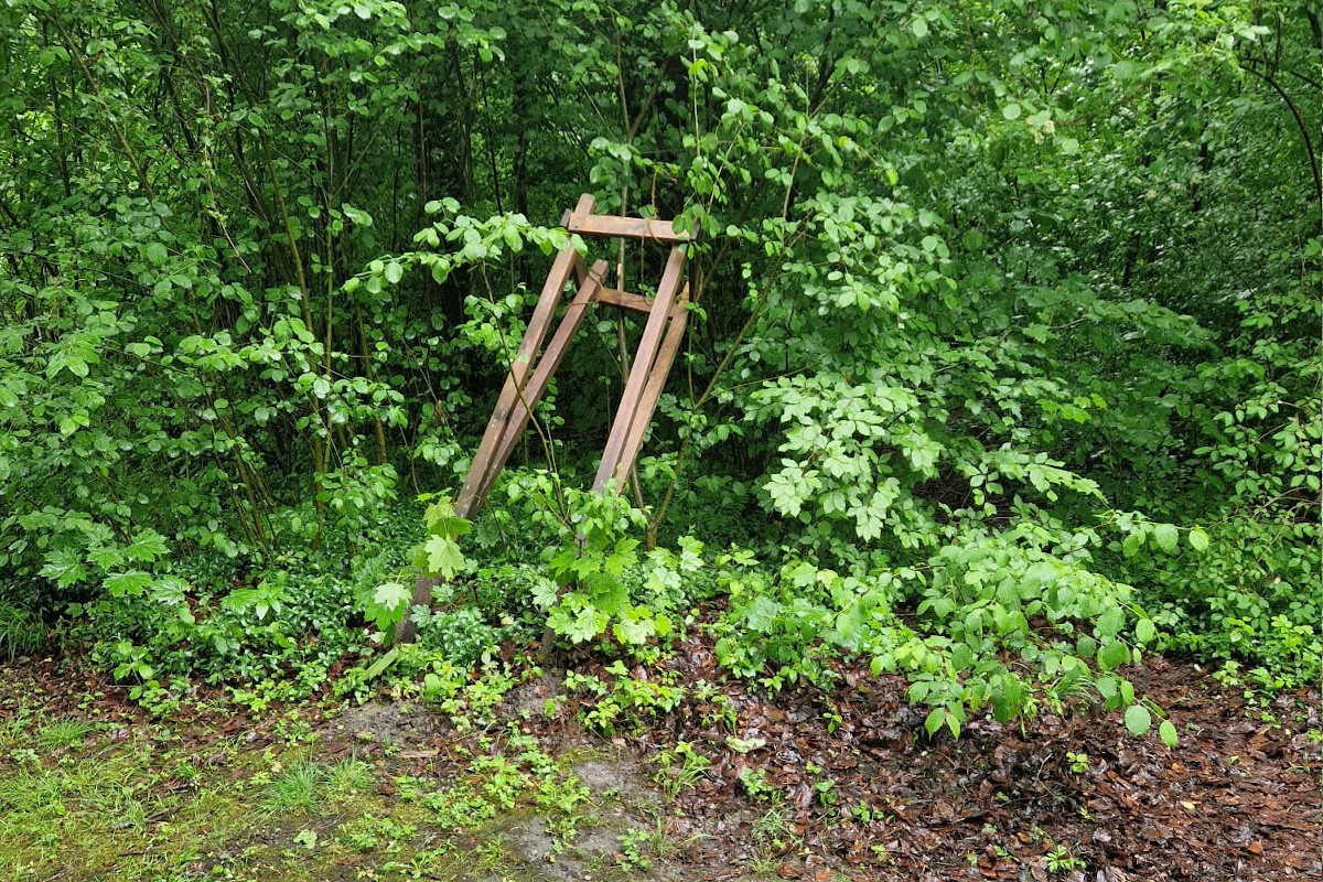 Kaltbrunn SG – Mehrere Sachbeschädigungen beim Waldlehrpfad