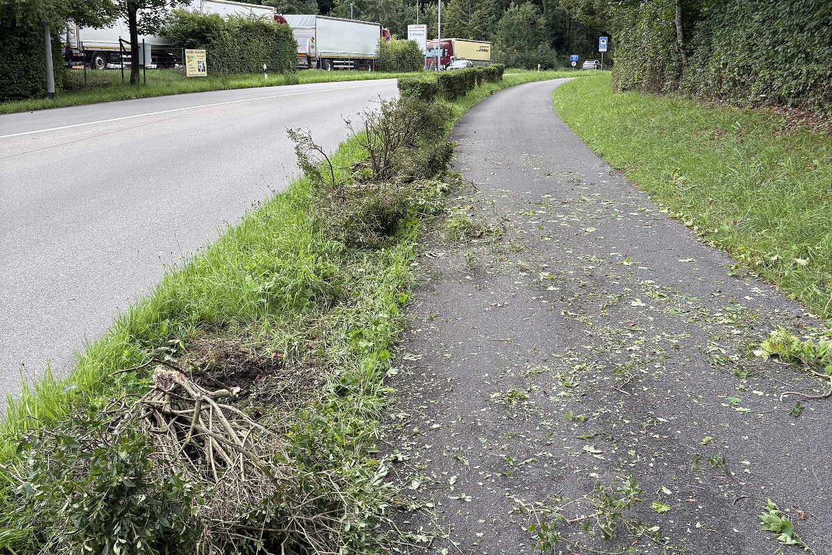 Frauenfeld TG – Drei Einbrecher bei Fluchtfahrt durch Kanton Thurgau verunfallt