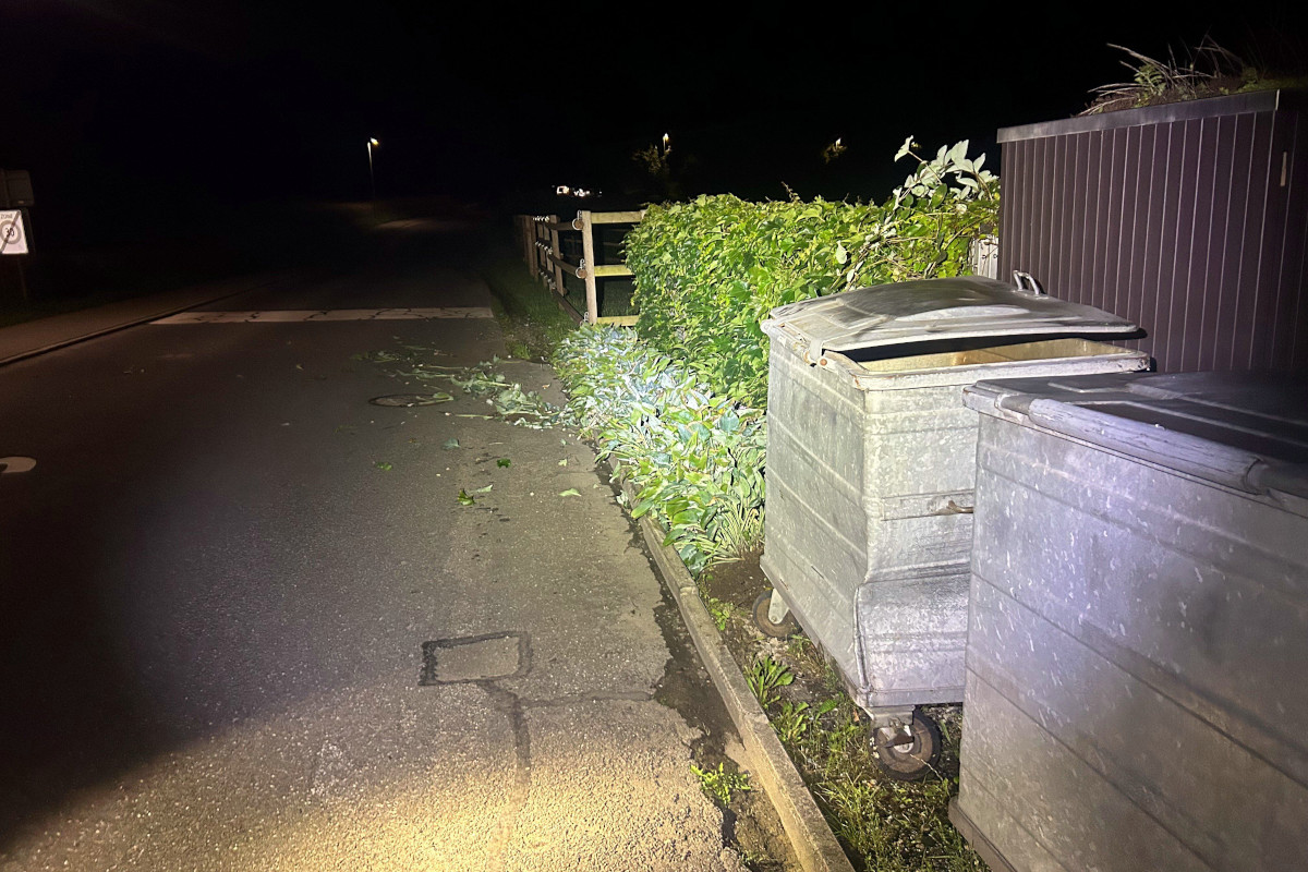 Beinwil am See AG – Alkoholisierter Autofahrer kollidiert mit Container