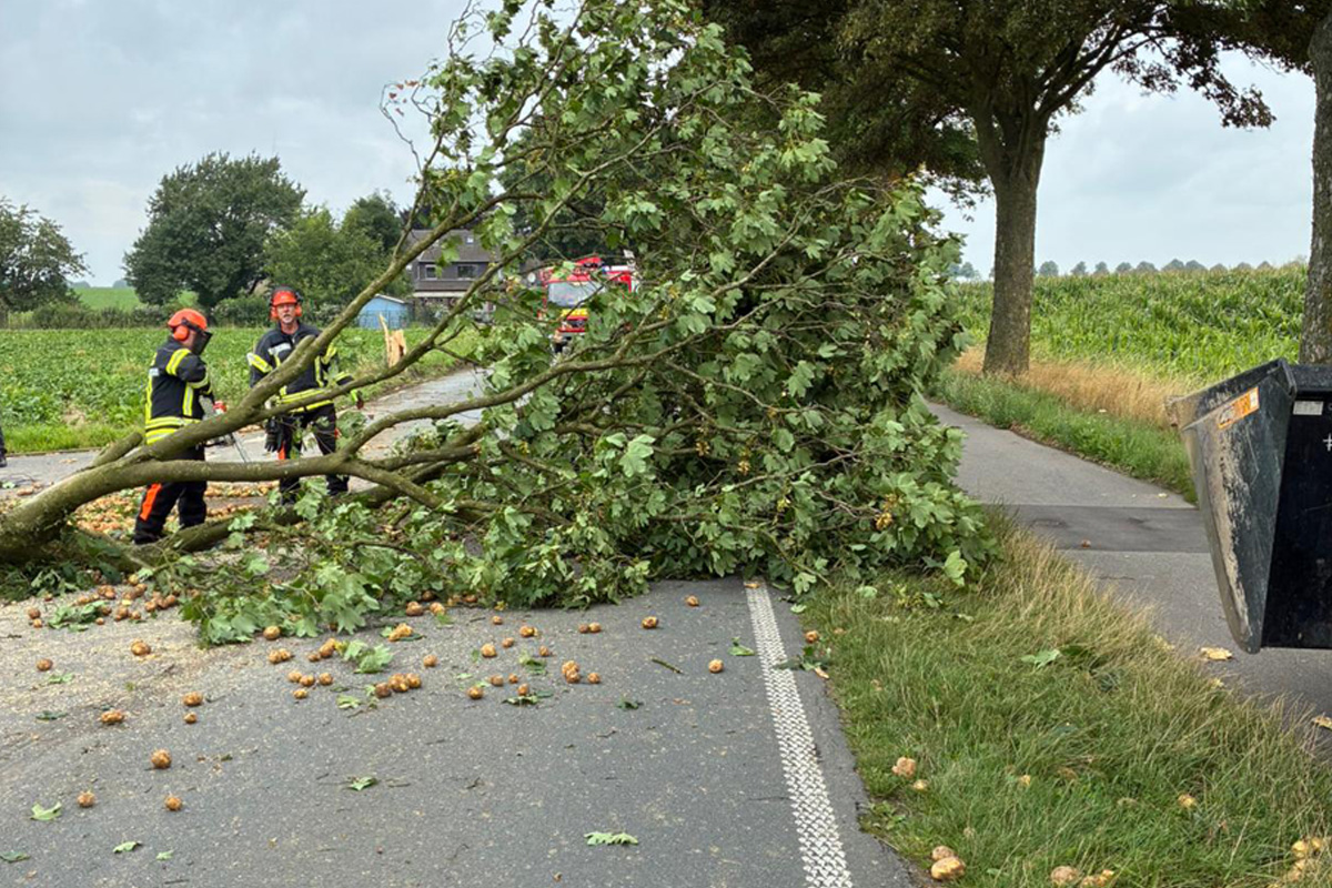 Bedburg-Hau NW – Traktorgespann prallt gegen Baum