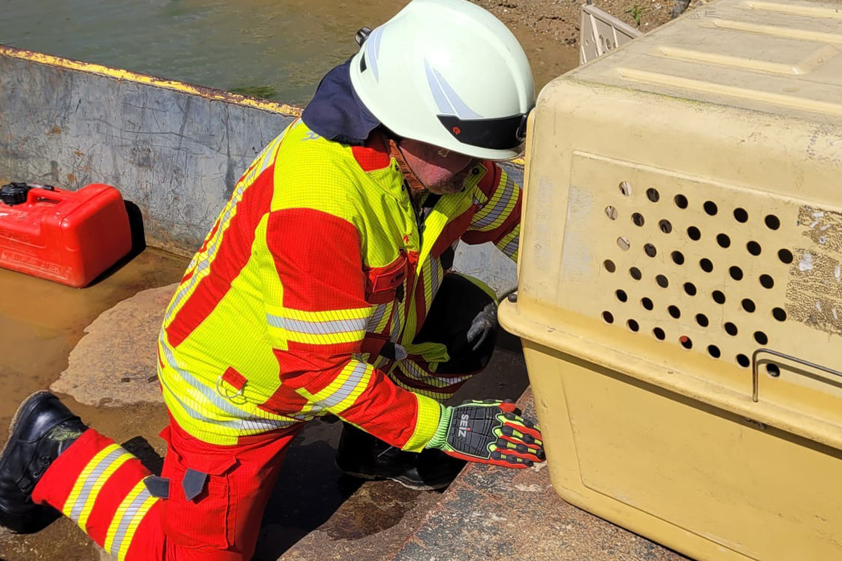 Lehrte NI – Feuerwehr rettet jungen Storch