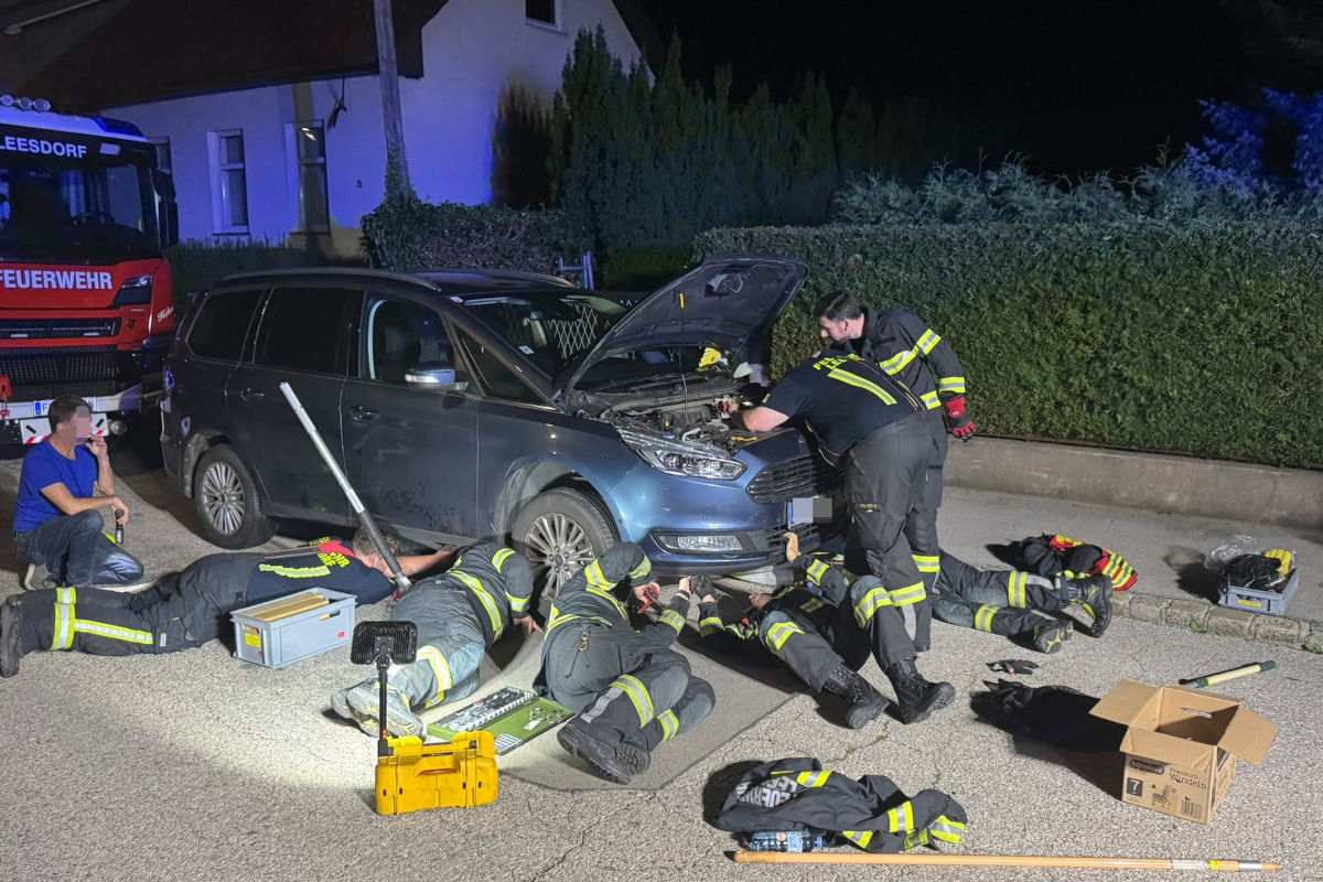 Baden-Leesdorf NÖ – Katze aus Motorraum befreit