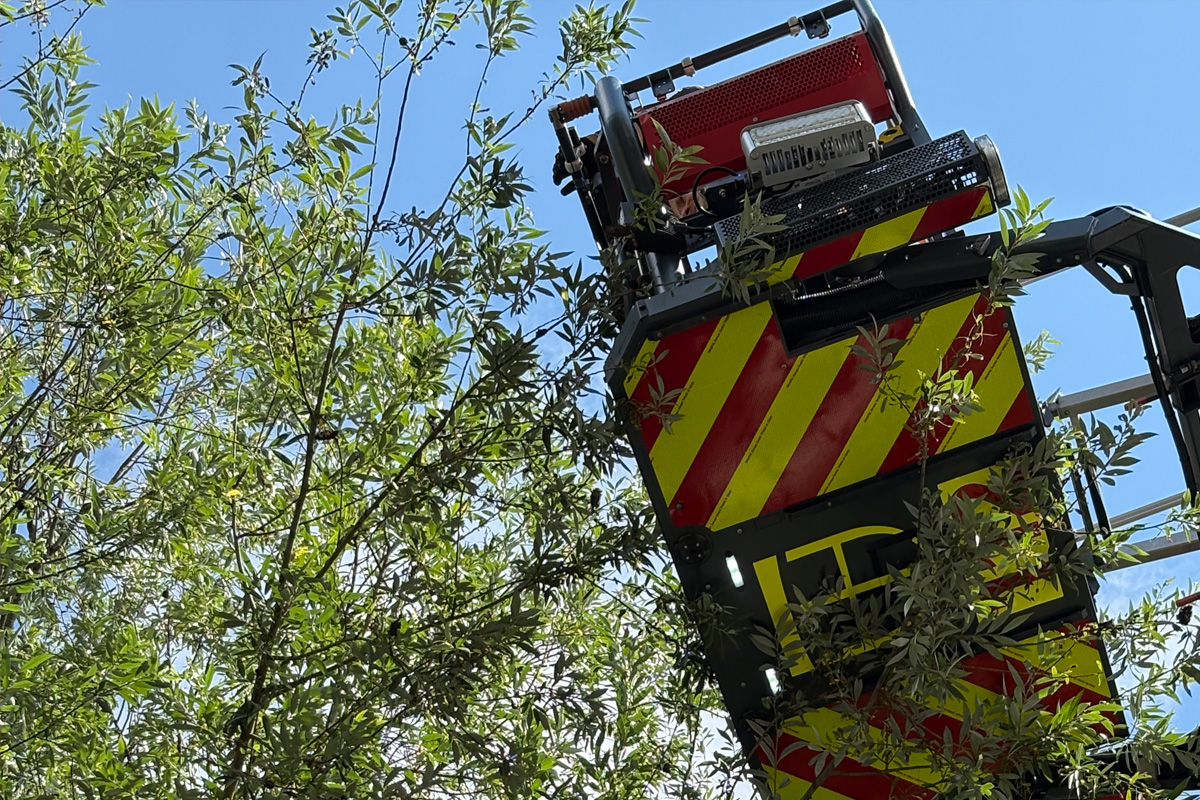Konstanz BW – Feuerwehr rettet Chamäleon