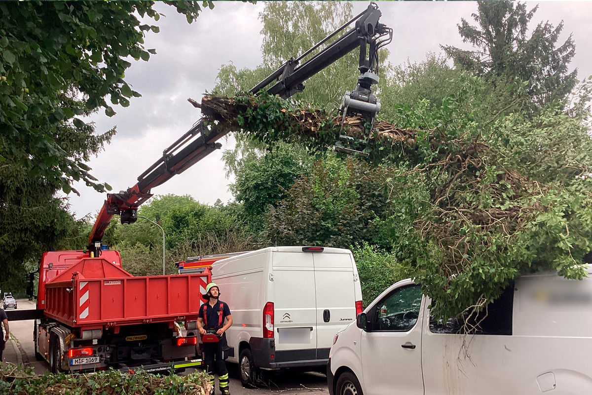 München BY – Baum stürzt auf Transporter