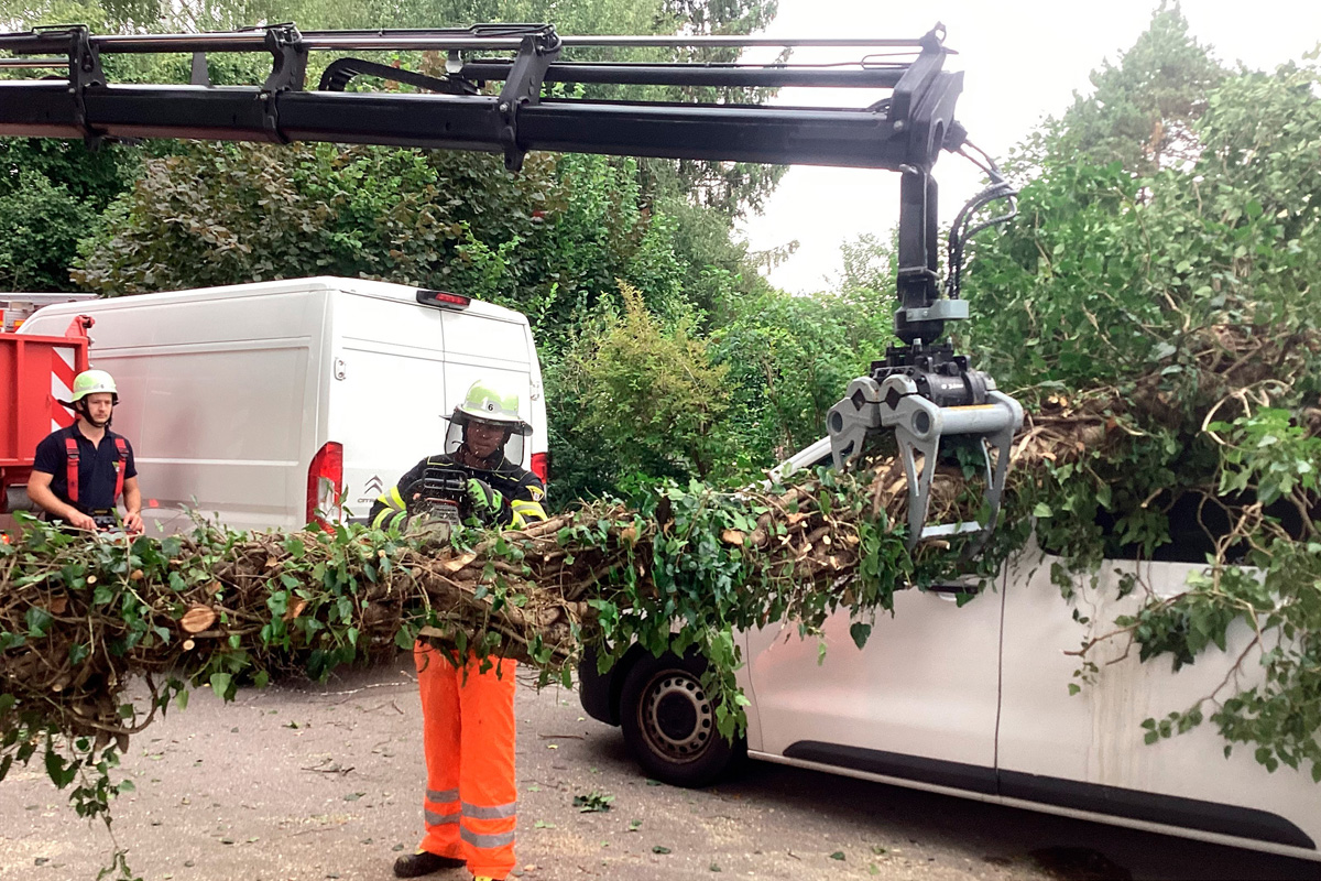 München BY – Baum stürzt auf Transporter