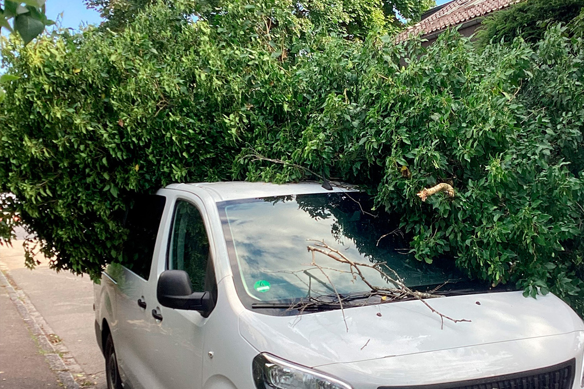 München BY – Baum stürzt auf Transporter
