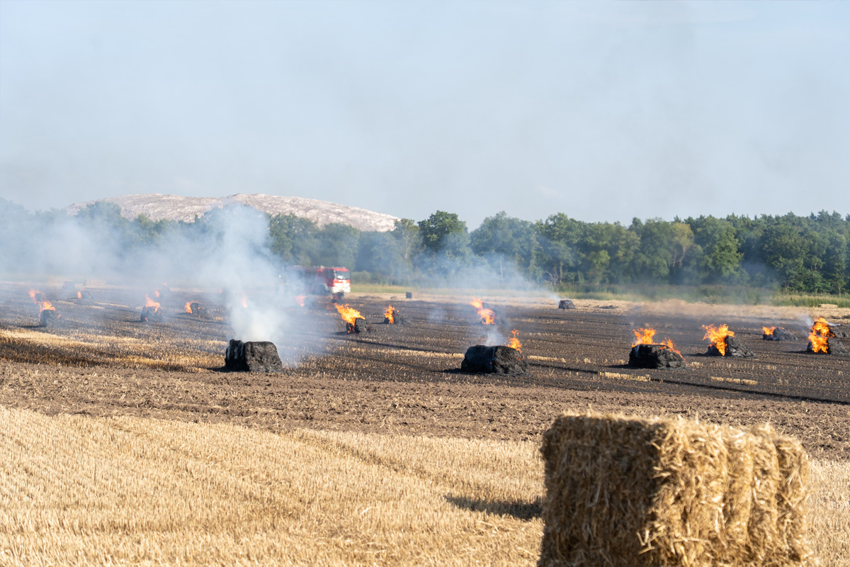 Papenhorst NI – Brennende Ballenpresse löst Flächenbrand aus