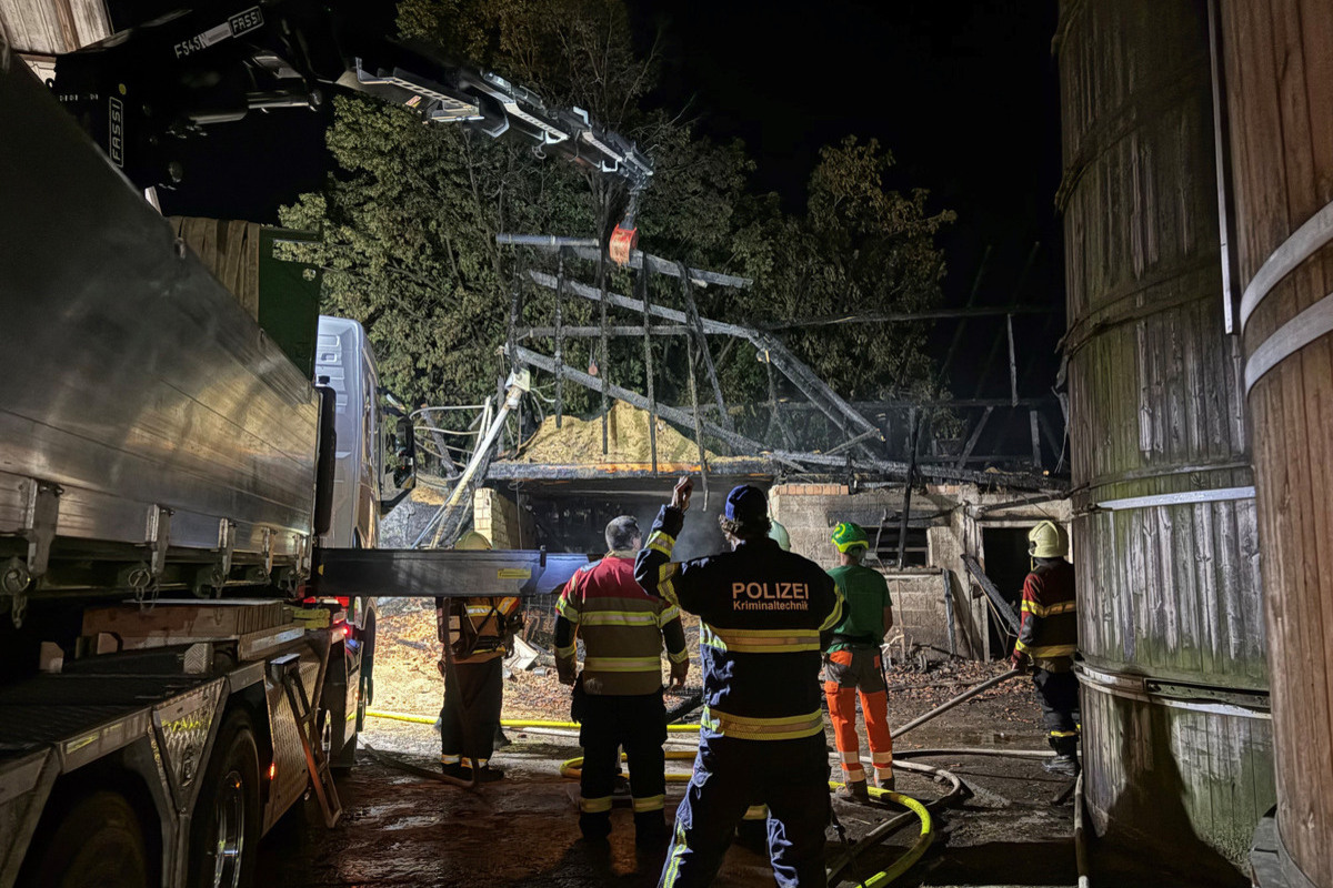 Wangen SZ – 200 Legehennen sterben bei Stallbrand