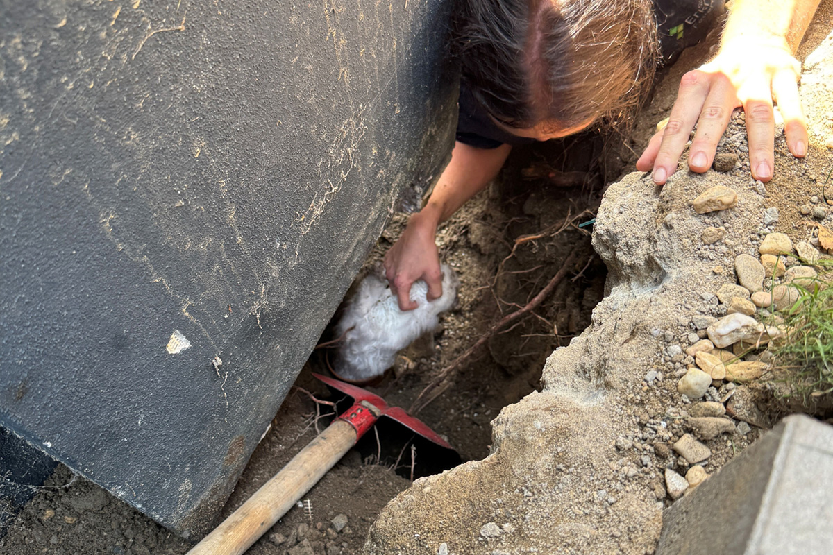 Erkrath NW – Feuerwehr rettet Kätzchen aus Abflussrohr