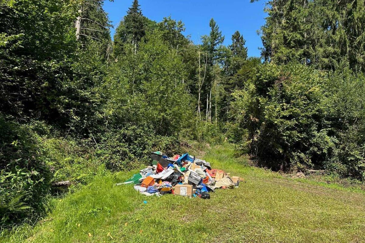Zeugenaufruf in Albbruck BW – Rund 100 Altreifen illegal im Wald entsorgt