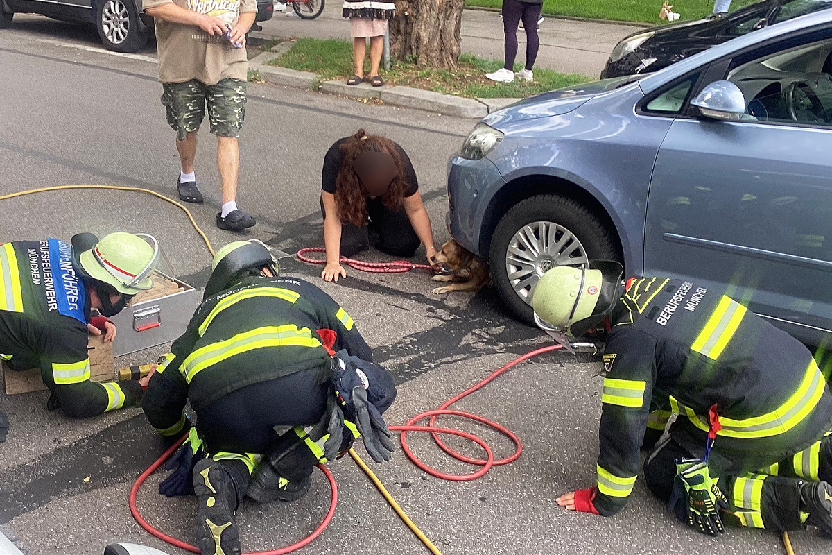 München BY – Hund unter Pkw eingeklemmt