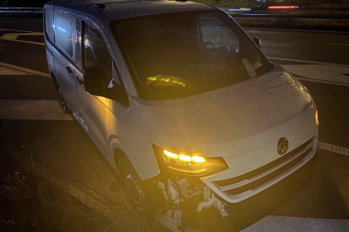 St.Gallen-Winkeln SG – Fuchs löst Unfall aus