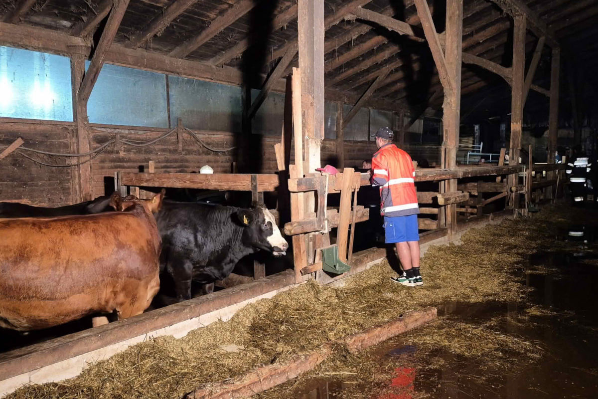 Eibiswald ST –  30 Tiere verendet bei Brand eines Wirtschaftsgebäudes