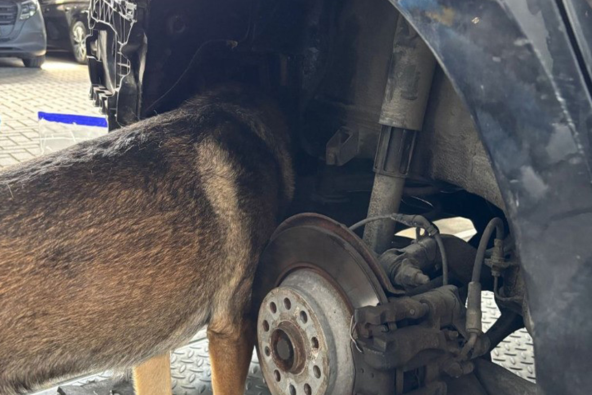 A1 Bremen HB – Zoll stellt 19 Kilo Amphetamin in Pkw sicher