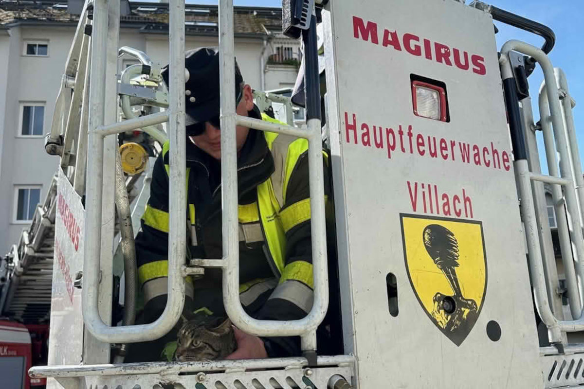 Villach K – Feuerwehr rettet Kater vom Dach
