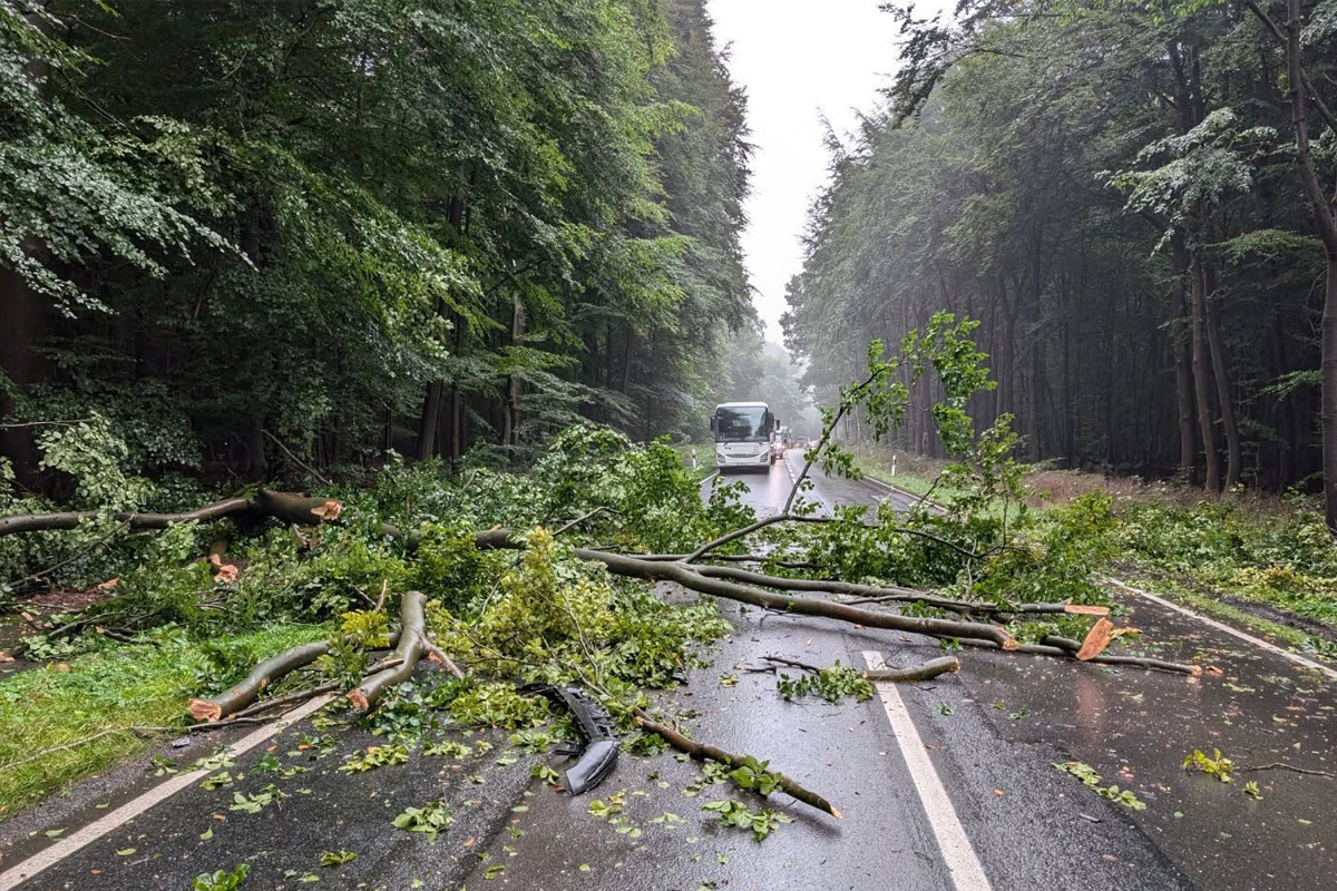 Rotenburg NI – Ast durchschlägt Windschutzscheibe von Pkw