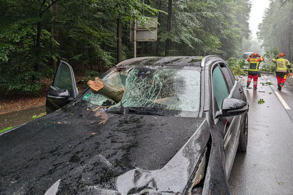 Rotenburg NI – Ast durchschlägt Windschutzscheibe von Pkw