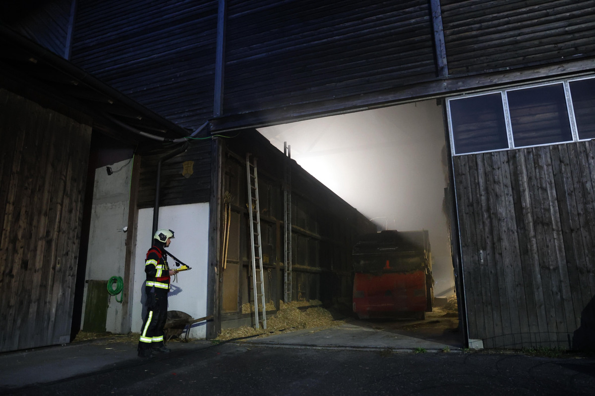 Cham ZG – Brand in Kuhstall – 120 Tiere rechtzeitig gerettet