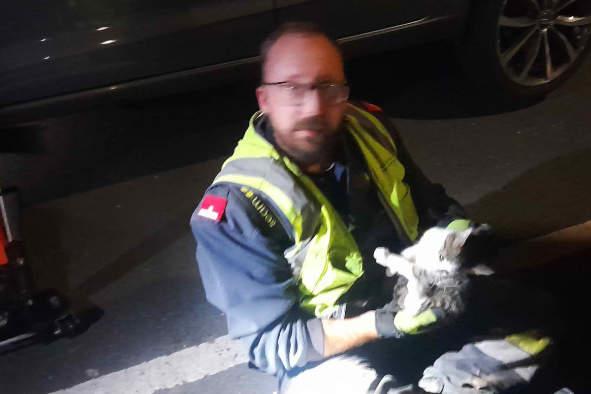 Villach K – Katze aus Motorraum gerettet