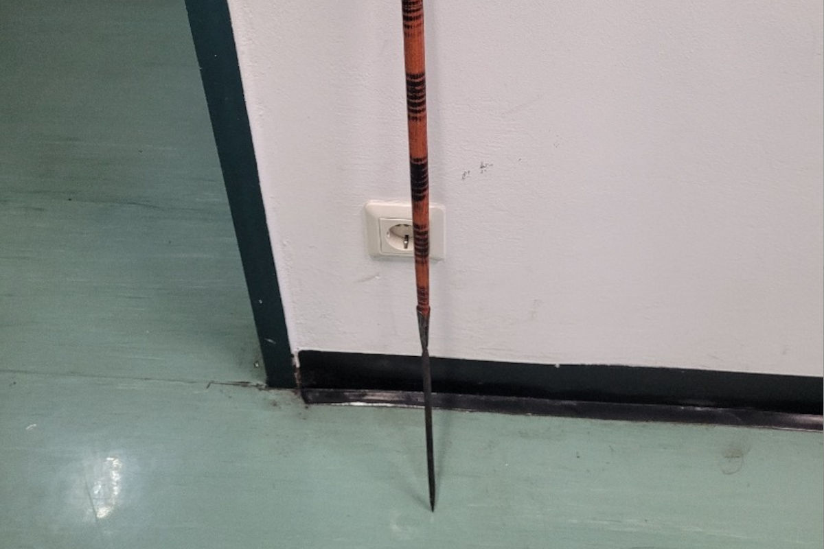 Wien – Polizei findet bei Rettungseinsatz zahlreiche Waffen und NS-Devotionalien