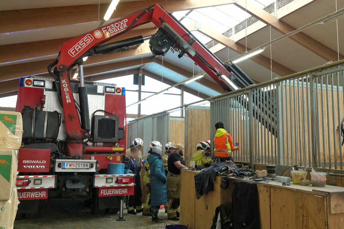 Ebreichsdorf NÖ – Feuerwehr hilft gestürztem Pferd