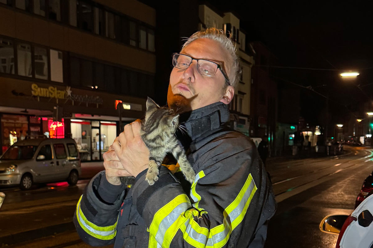 Bochum NW – Feuerwehr befreit Katze aus Radkasten