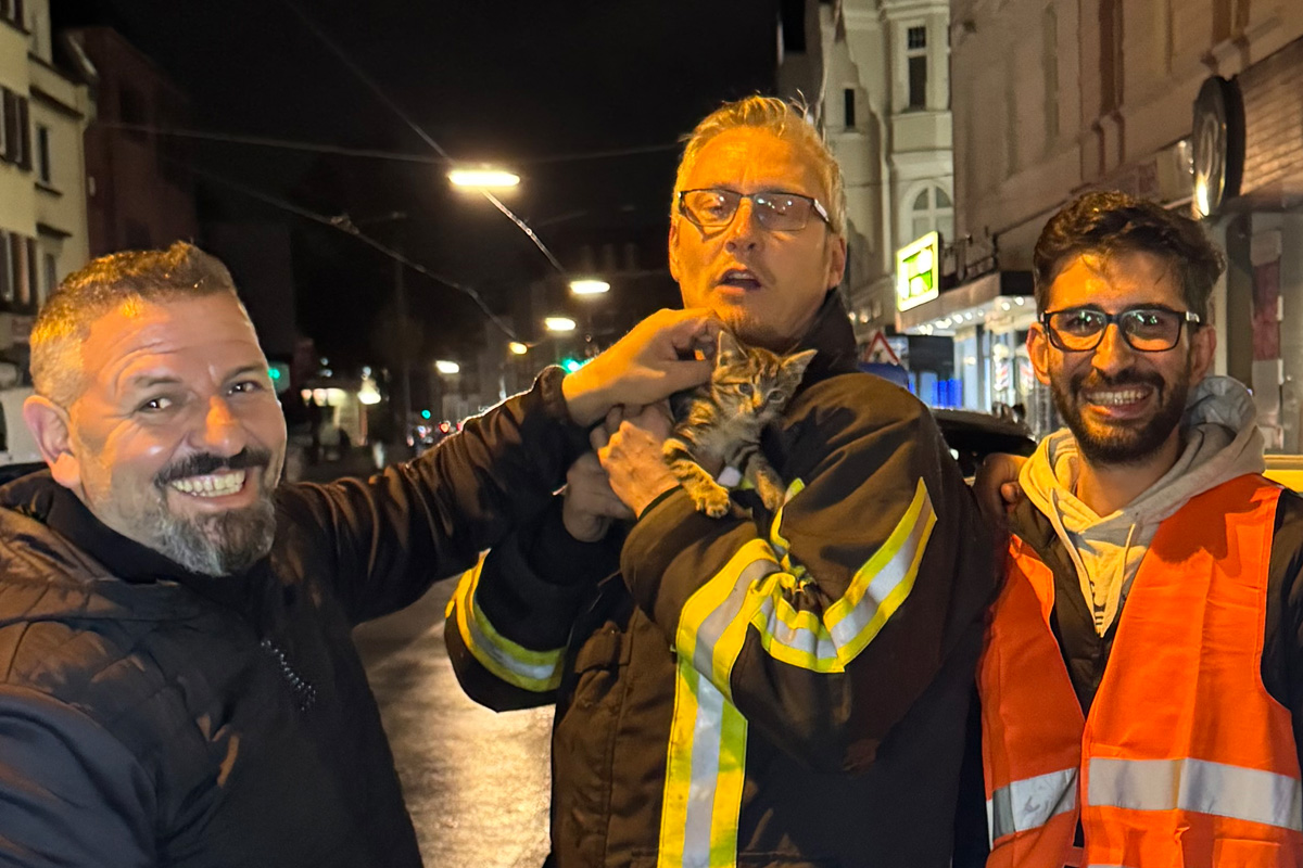 Bochum NW – Feuerwehr befreit Katze aus Radkasten