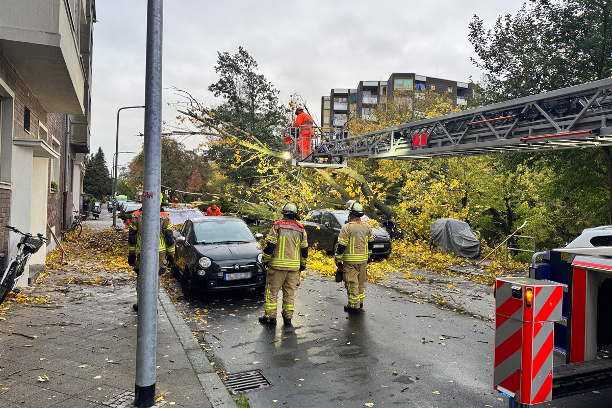 Düsseldorf NW – 50 Meter hoher Baum stürzt auf neun Autos bei Sturm