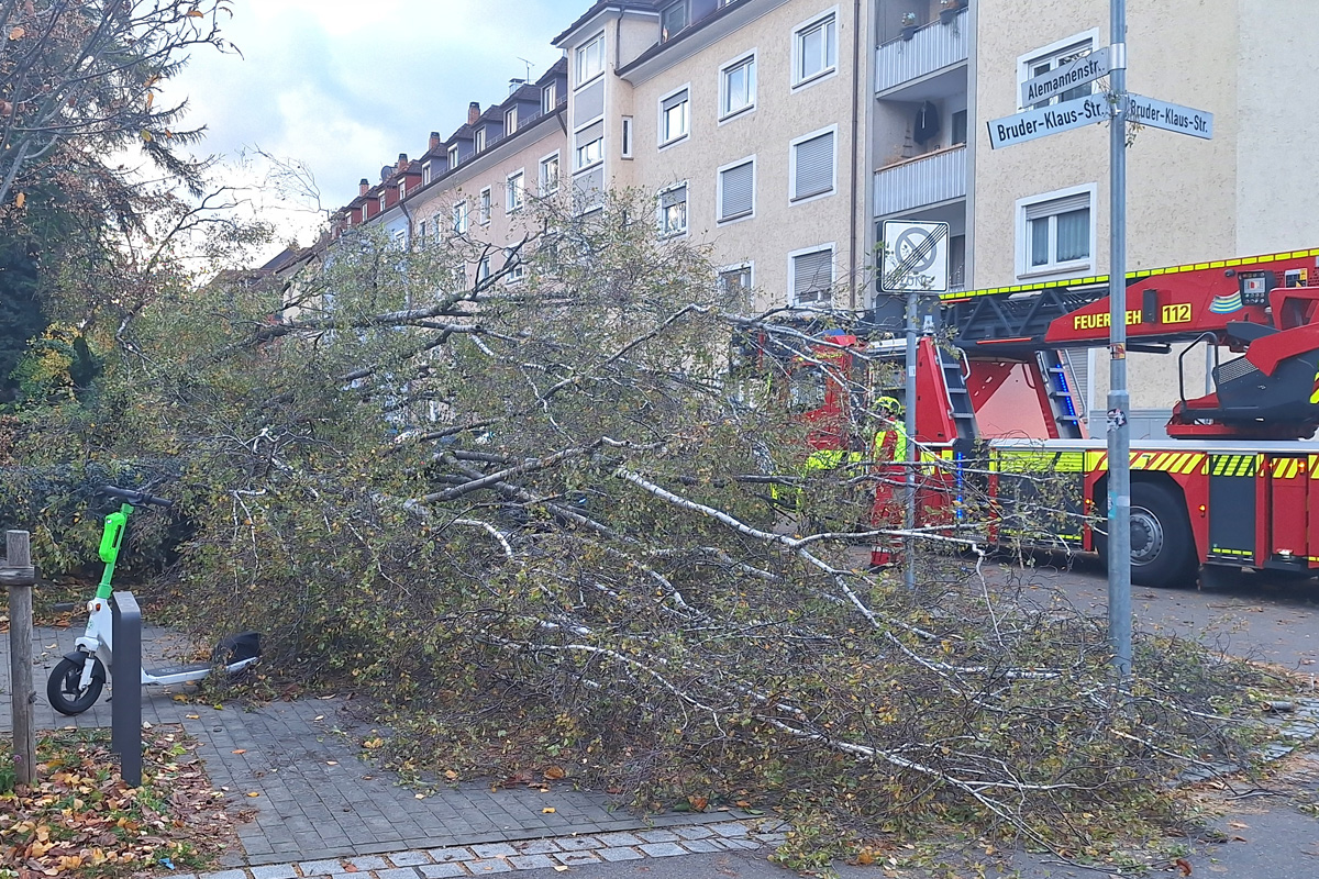 Konstanz BW – Zahlreiche umgestürzte Bäume nach Sturmtief