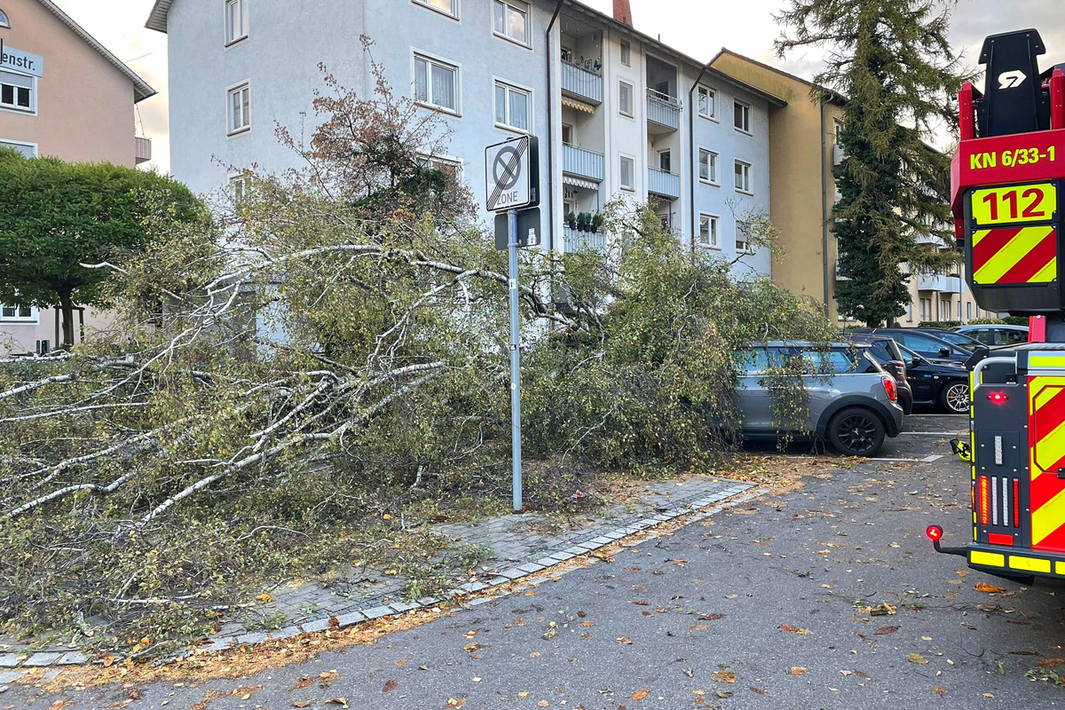 Konstanz BW – Zahlreiche umgestürzte Bäume nach Sturmtief