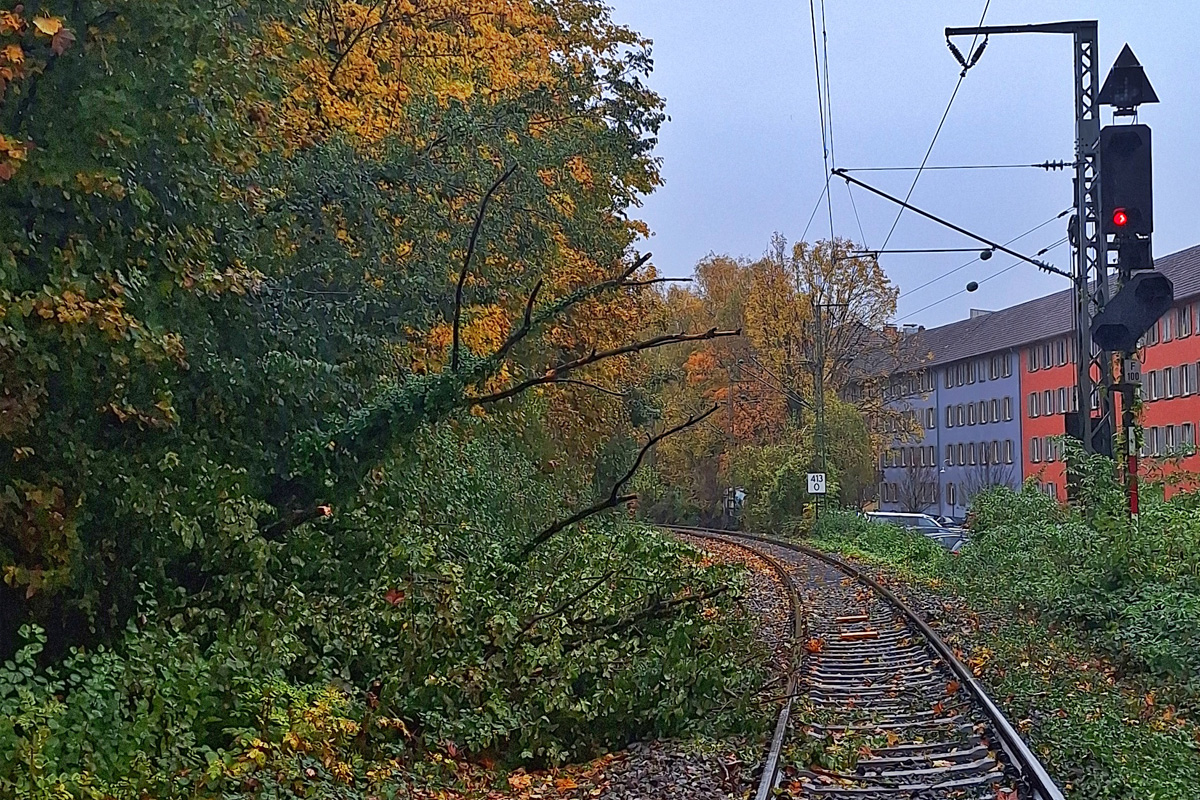 Konstanz BW – Zahlreiche umgestürzte Bäume nach Sturmtief