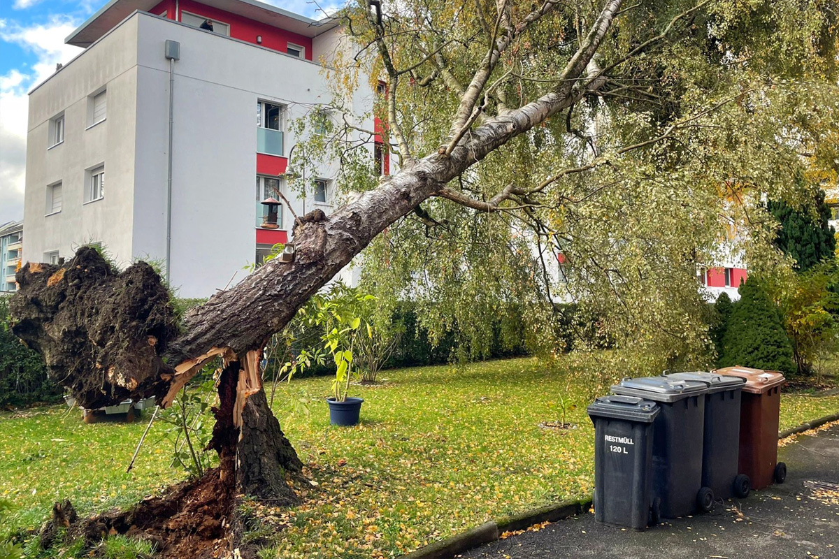 Konstanz BW – Zahlreiche umgestürzte Bäume nach Sturmtief