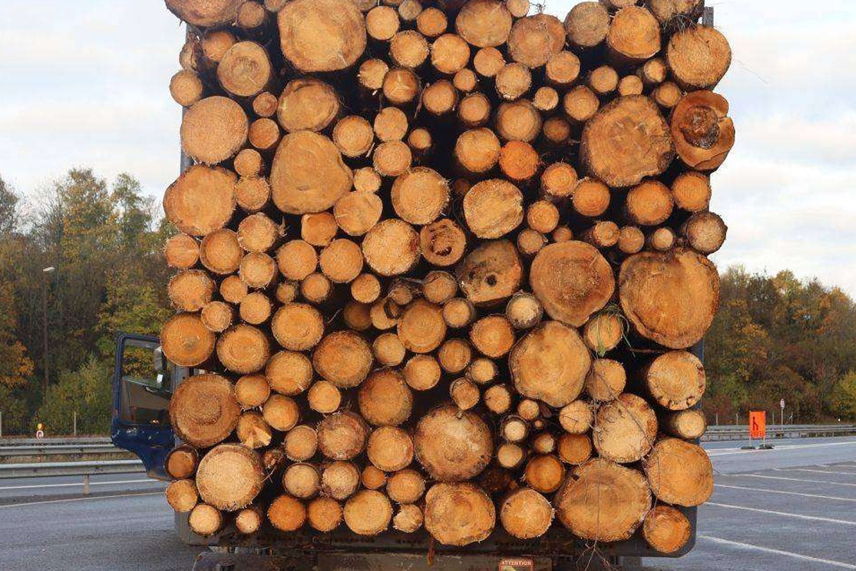 Trier RP – Polizei stoppt massiv überladene Holztransporte
