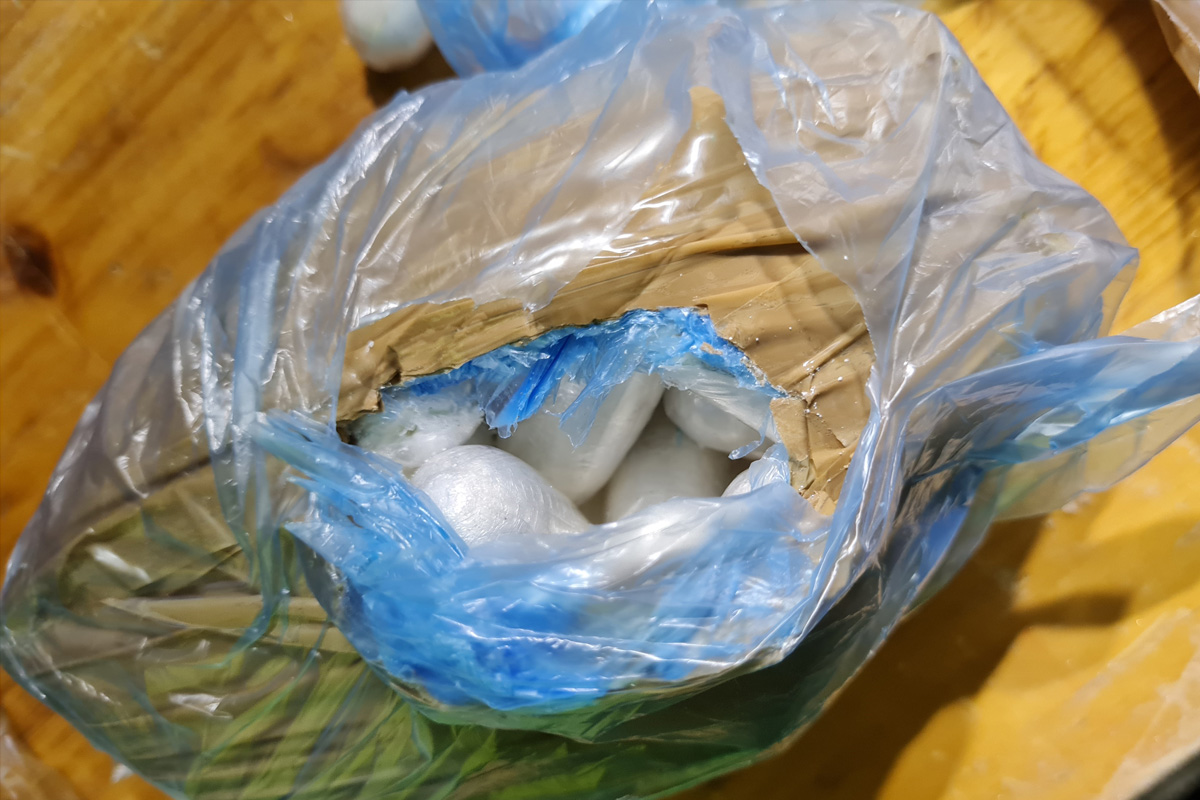 Friedrichshafen BW – Zollhündin Maila findet Drogen im Fernbus