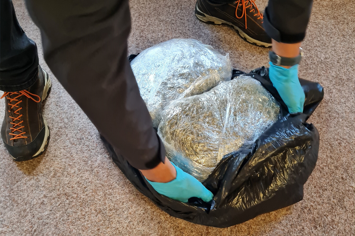 Friedrichshafen BW – Zollhündin Maila findet Drogen im Fernbus