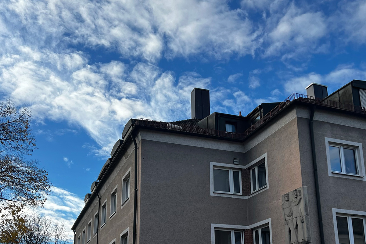 München BY – Feuerwehr rettet herrenlosen Hund von Dach