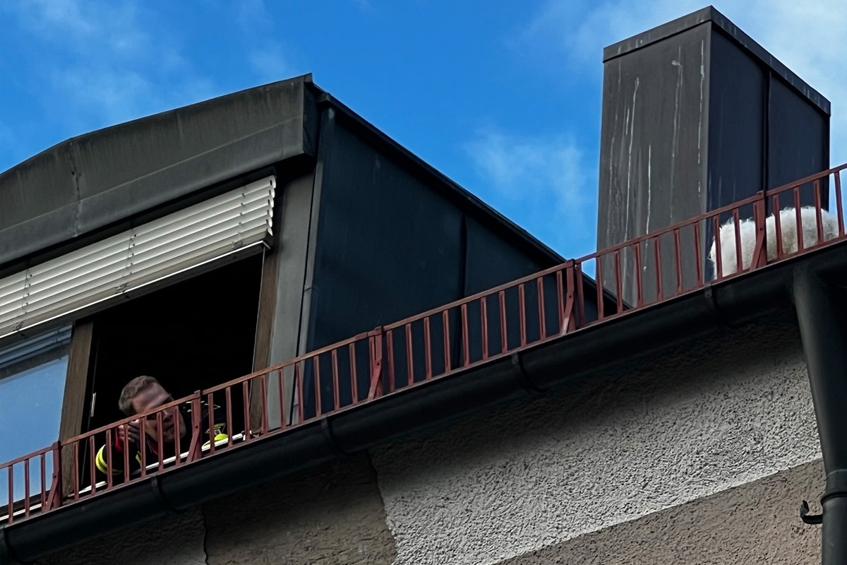 München BY – Feuerwehr rettet herrenlosen Hund von Dach