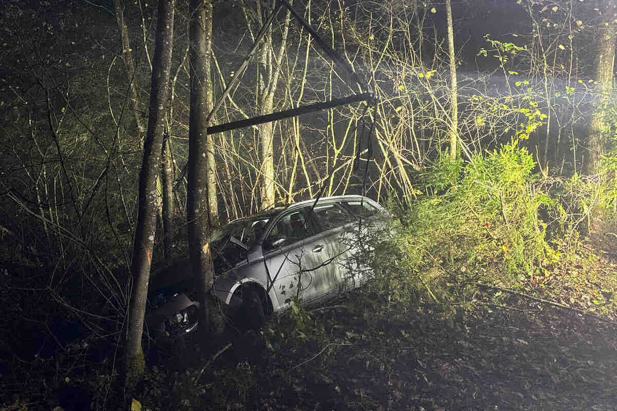 Trimbach SO – Auto prallt bei Unfall in Baum