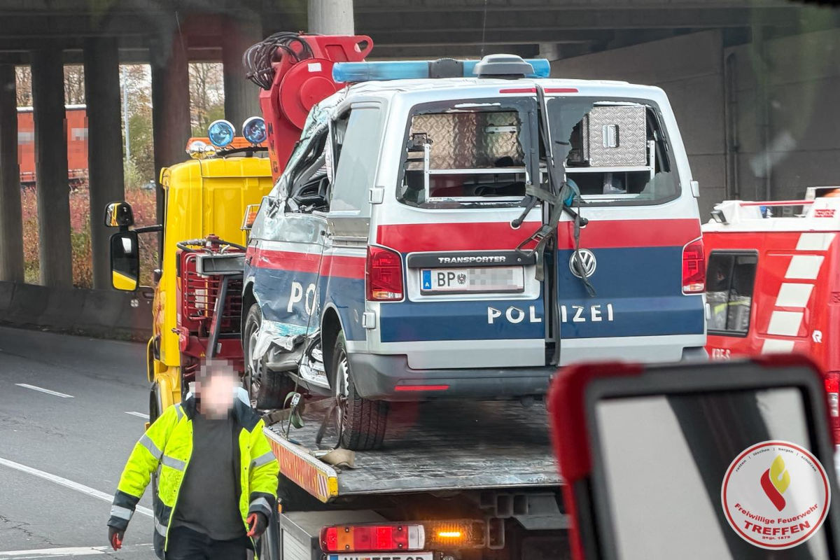 Treffen K – Diensthund und Polizistin bei Unfall verletzt