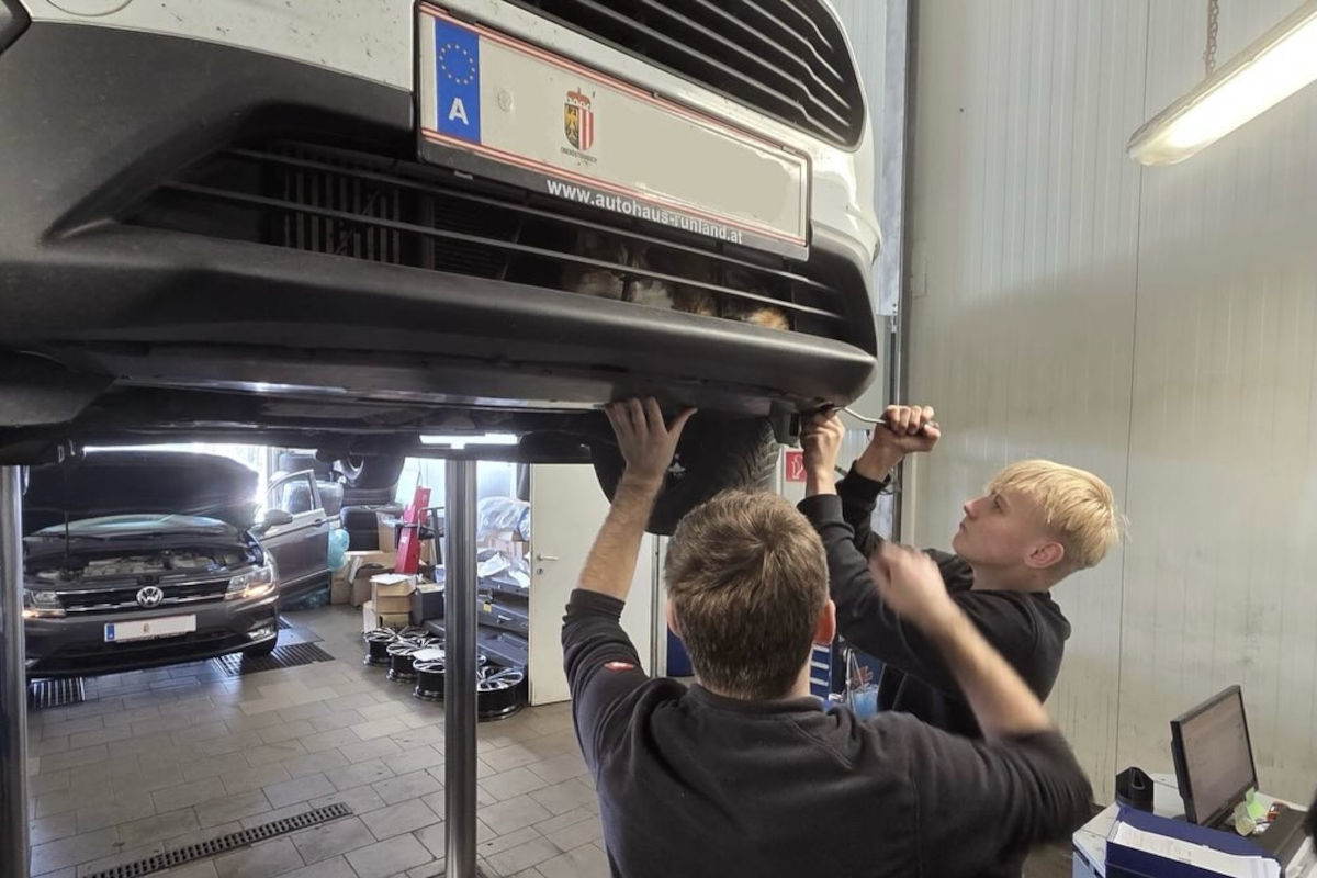 Andorf OÖ – Katze fährt unbemerkt im Auto mit