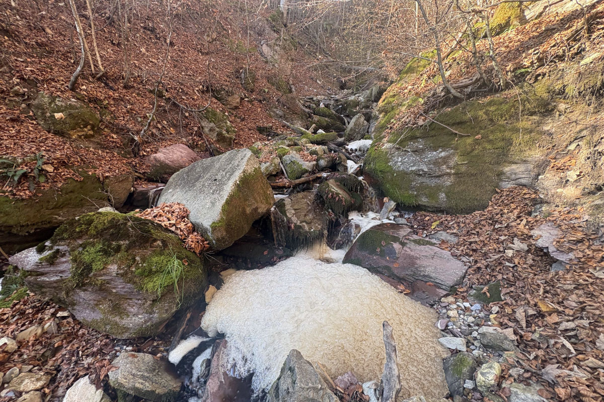 Flumserberg SG – Bach verunreinigt nach Gülleaustritt