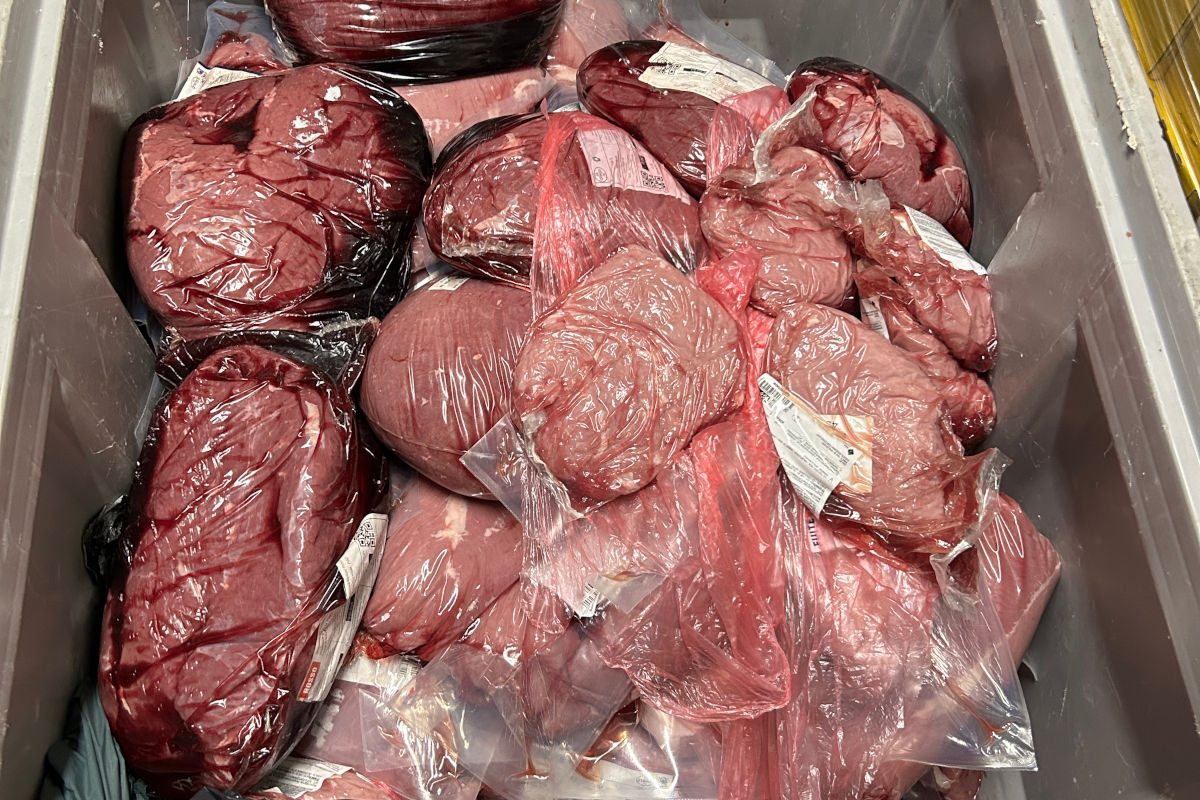 Lenzburg AG – Hanfplantage und geschmuggeltes Fleisch entdeckt