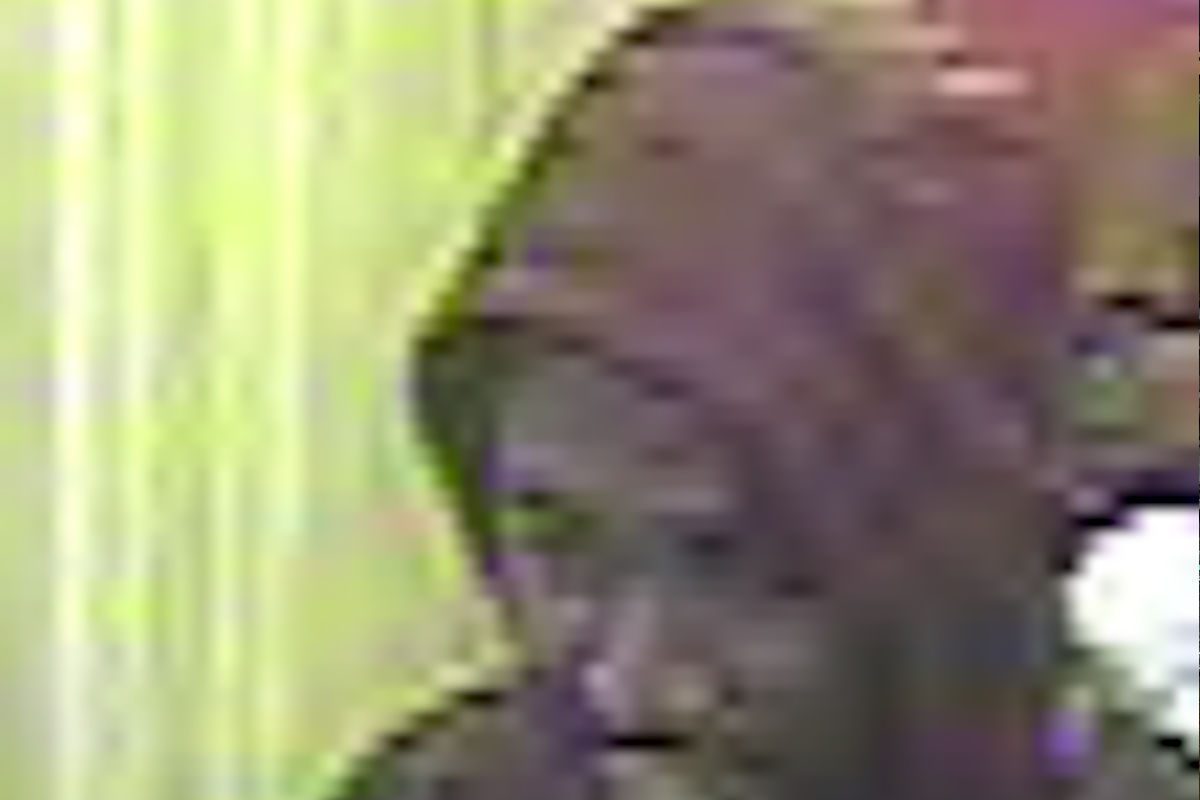 Gewaltsamer Raub in Wien – Fahndung nach zwei Tätern